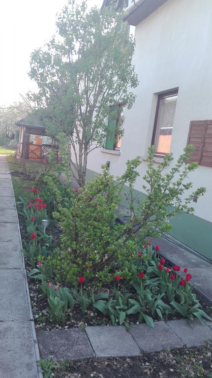 Plajbi Apartment Hajduszoboszlo Bagian luar foto